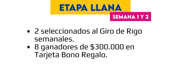 Etapa 1