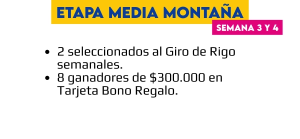 Etapa 2