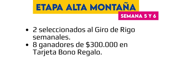 Etapa 3