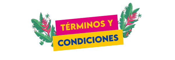 Términos y condiciones